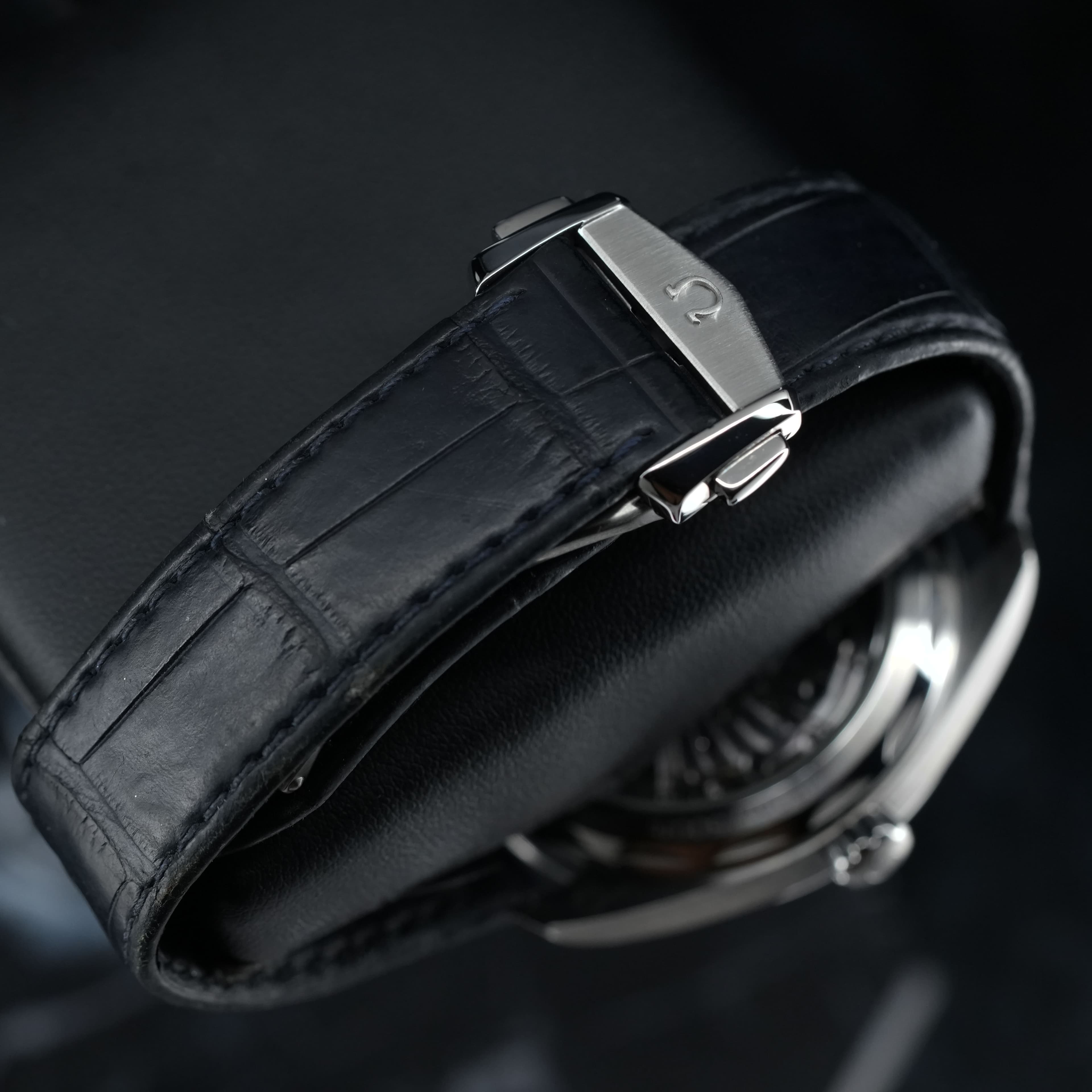 Omega Aqua Terra (Ref. 220.13.41.21.03.001) — photo 6