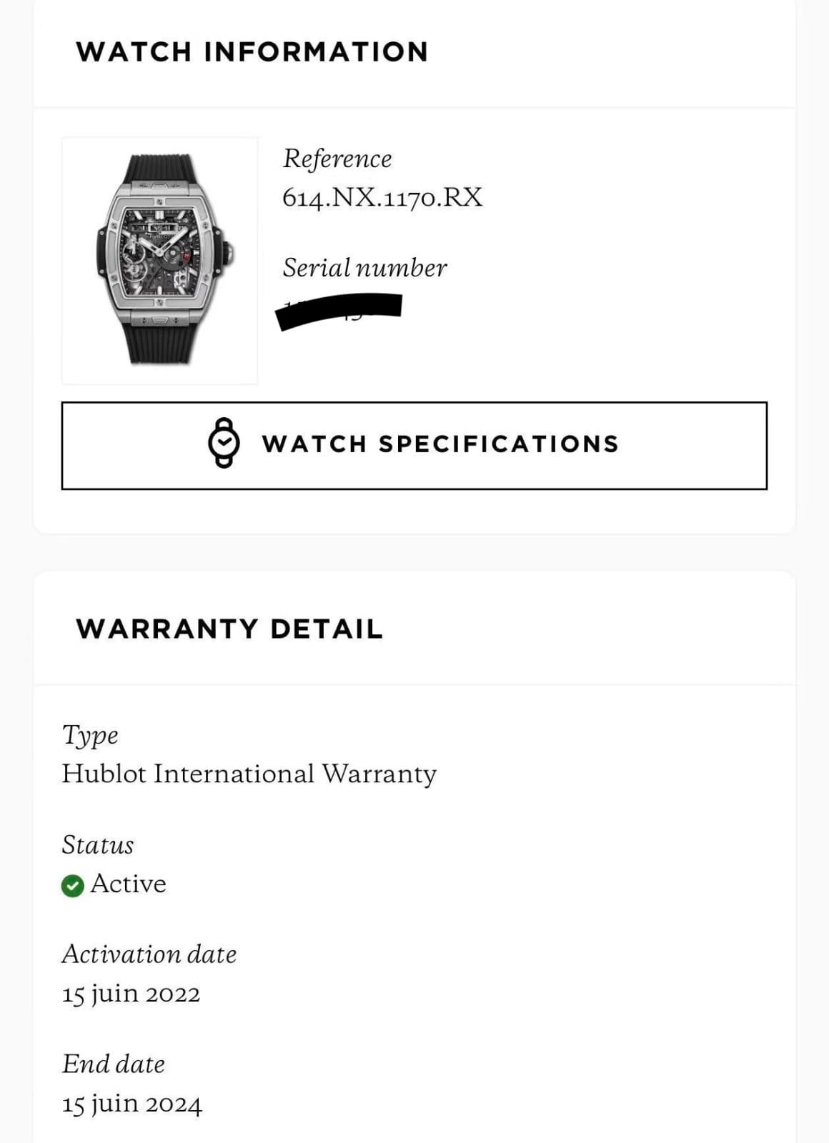 Hublot Spirit of Big Bang MECA-10 (Ref. 614.NX.1170 RX) — photo 13