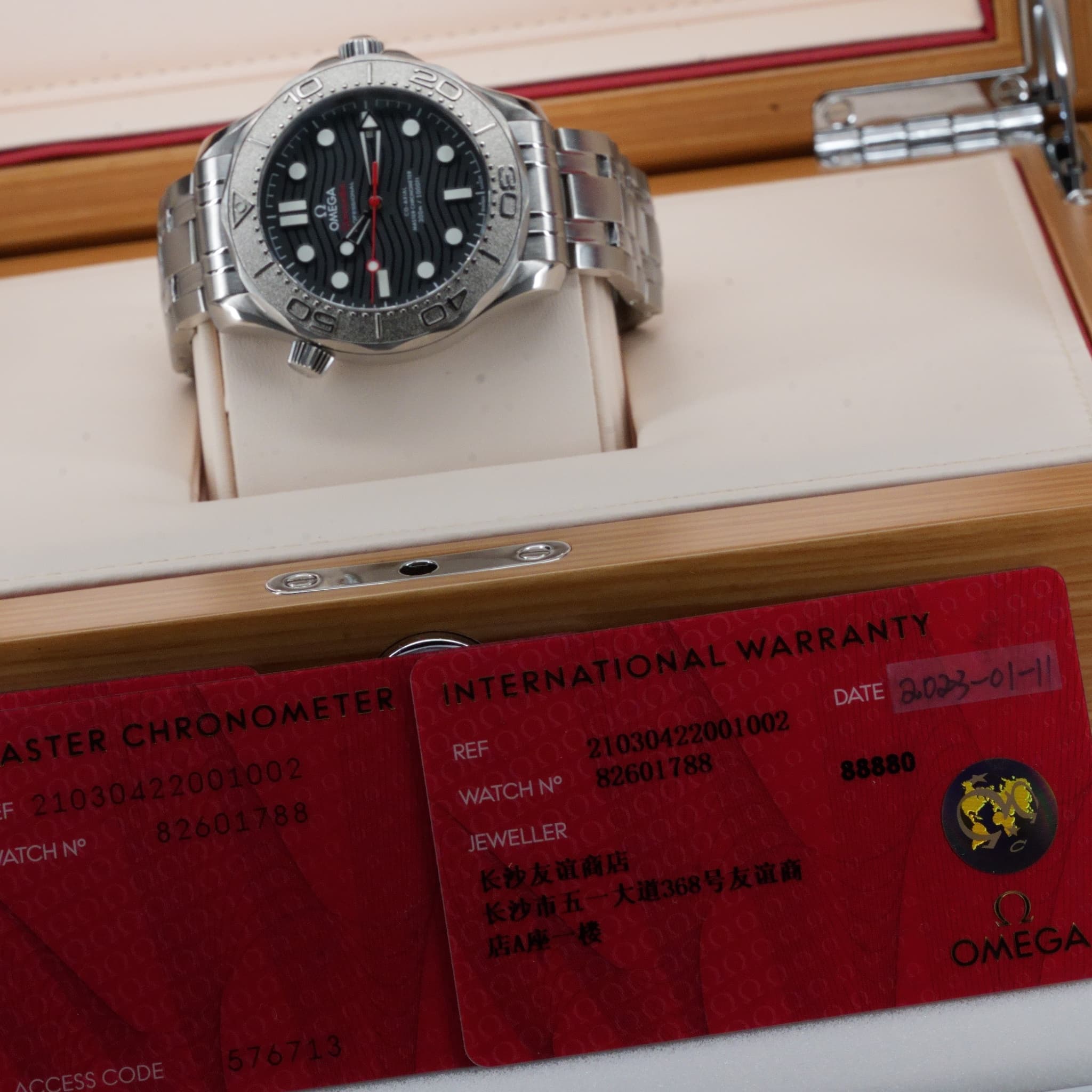 Omega Seamaster Diver 300M (Ref. 210.30.42.20.01.002) — photo 16